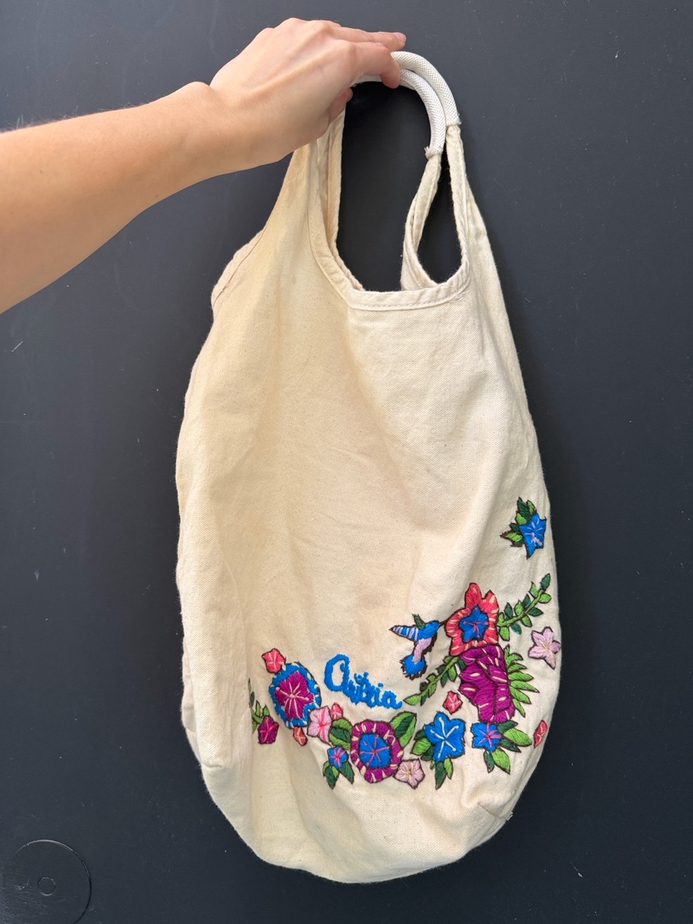 Aritzia Canvas Embroidered Tote Bag